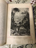 Потерянный и Возвращённый Рай 1891г Дж. Мильтон с рисунками, фото №6