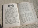 Федоров-Давидов Монеты рассказывают (Нумизматика) 1963, фото №12