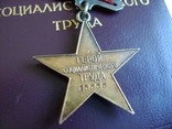 Звезда Героя Соц. Труда № 15656 (на женщину), фото №6