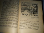 "Человек и Земля", Э.Реклю, С.-Пб, изд. Сойкина, 1908г., фото №7