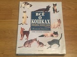 Энциклопедия "Всё о кошках", фото №2