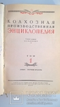 Колхозная производственная энциклопедия первый том 1949г, фото №6