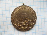 Медаль Косово 1912.королевство Сербия, фото №2