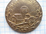  Медаль Косово 1912.королевство Сербия, фото №3