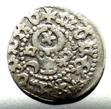 Монета Молдавского княжества бычок, фото №4