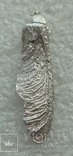 Серебряная крылатка -- фрагмент, фото №3