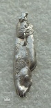 Серебряная крылатка -- фрагмент, фото №4