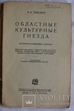 Н. Пиксанов, "Областные культурные гнезда" (1928). Культурне життя Києва, Харкова, Одеси, фото №3