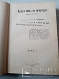 История западной литературы 1800 - 1910 г., фото №6