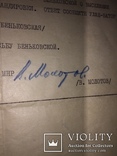 Автограф В. Молотова, фото №11
