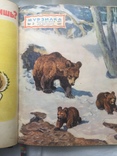 Подшивка журналов Мурзилка за 1957 год, фото №7