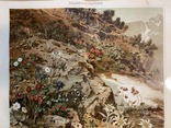 1900 Хромолитография Альпийские растения, фото №4