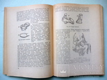 Книга 300 полезных советов по домоводству 1960 год., фото №4