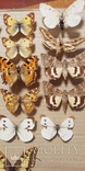 Энтомологическая коллекция насекомых №18, фото №4