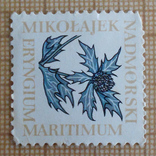 Марка "Mikolajek Nadmorski Eryngium Maritimum", фото №2