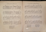 Старий Пісенник, друга колекція. Для фортепіано з текстами та аналізом. На Шведській, фото №5
