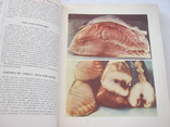 Книга о вкусной и здоровой пище, фото №6