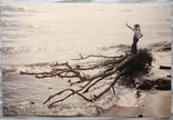 Фото (15*10 см.) фотохуд. Топалова Г.П. "Девочка на поваленном штормом дереве", 90-е г.г.., фото №2
