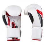 Боксерские перчатки TopTen, DX, 10oz, фото №3
