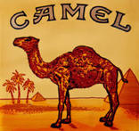 Camel - фирменная кепка разм.60, фото №10