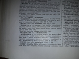 Словник староукраїнської мови 14-15 ст. в 2 томах 1977, фото №8
