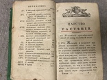 Царство растений 1795 Врачебная рецептура растений, фото №5