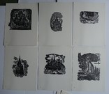 Г. и Н. Бурмагины 16 ксилографий печать с авторских досок, фото №5