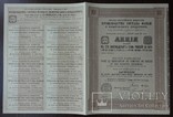 Чугуголь, Екатеринославской губернии, 1912г, Акция 187,50 руб., фото №2