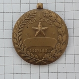 Армия США. Медаль «За безупречную службу», фото №3