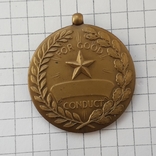Армия США. Медаль «За безупречную службу», фото №5