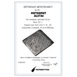 Пластина із залізного метеорита Aletai, 39.1 грам, із сертифікатом автентичності, фото №3
