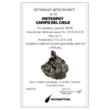 Залізний метеорит Campo del Cielo, 22,3 грам, із сертифікатом автентичності, фото №3