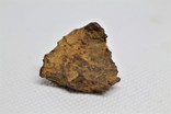 Залізний метеорит Sikhote-Alin, 14,9 грама, з сертифікатом автентичності, фото №2