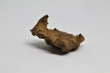 Залізний метеорит Sikhote-Alin, 14,9 грама, з сертифікатом автентичності, фото №8