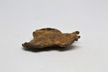 Залізний метеорит Sikhote-Alin, 21,9 грама, з сертифікатом автентичності, фото №5