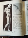 Г. Гицеску. Пластическая анатомия. В 3-х томах., фото №6