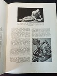 Г. Гицеску. Пластическая анатомия. В 3-х томах., фото №13