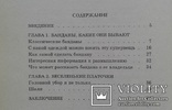 Классная бандана! (книга для девчонок)., фото №12