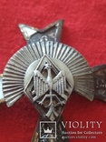 Полковий знак 6-го полку кінних стрілків вм. гетьмана Станіслава Жолкевського (м. Жовква), фото №11