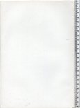 Старинная хромолитография. Ботаника. Bilder-Atlas des Pflanzenreichs. 1909 год. (24х16см.), фото №6