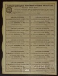 Акция, 100 руб. 1913г, Западно-Донецк Каменно-Угольн Общест., фото №4