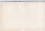 Старинная цветная литография. XIX век. (25,2х16,6см.).и., фото №6