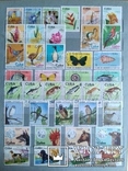 Почтовые марки Кубы 1905-1998гг. 406шт+3блока, фото №6