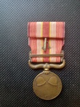 Медаль Японии, фото №2