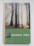 Буклет-гармошка з фото "Белавежская пушча"(CPCP), фото №2