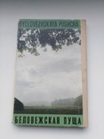 Буклет-гармошка з фото "Белавежская пушча"(CPCP), фото №12