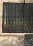 В.Рихтер Неорганическая химия 1880 С.Петербург Спектральная таблица, фото №6