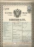 Паспорт 1863 Львов Австро-Венгрия Украина На поездку в Подволочиск На 2-х листах, фото №2