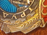 Ордена Трудовой Славы 2 степени, фото №7