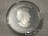30 долларов Канада. 2018 г. (62.69 г) Серебро, фото №2